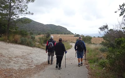 Adsubia Circular – 26th February 2021