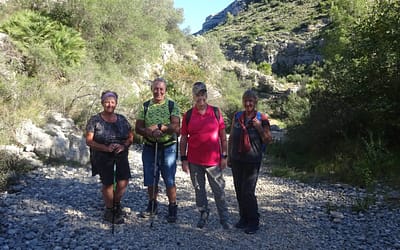 5000 Steps – 6th November 2019