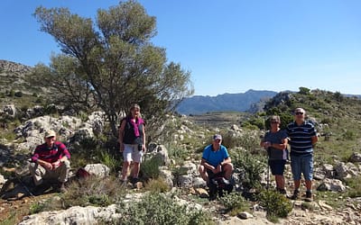 Tárbena – 12th March 2021