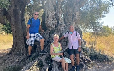 Olive Tree – 27th August 2021