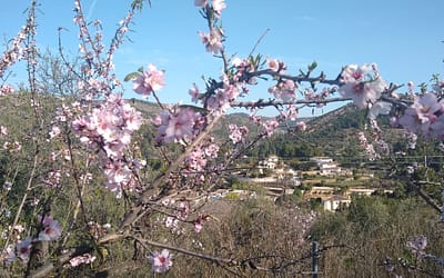 Lliber to Hidden Valley – 4th February 2022