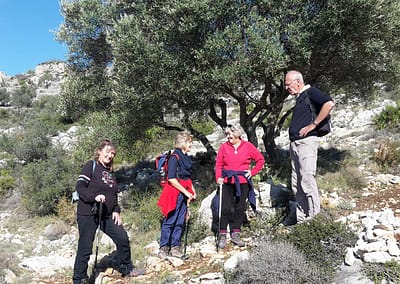 Tàrbena 2016